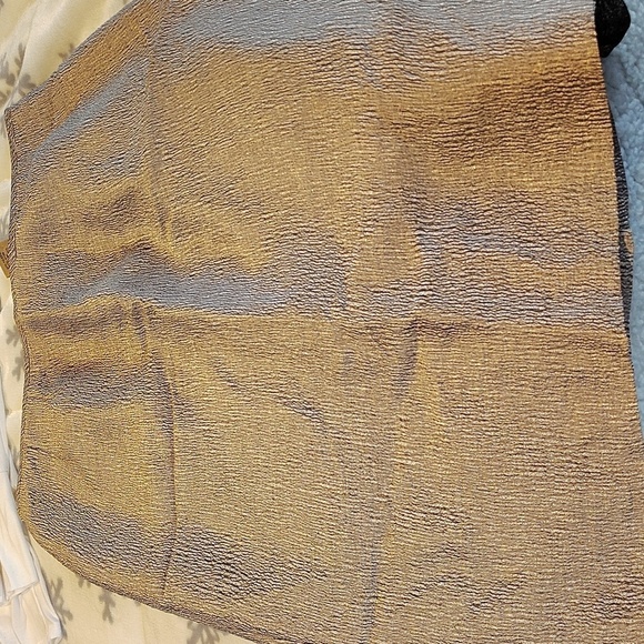 Kasper Gold Multi Shimmer Skirt Sz 8 - Picture 10 of 10